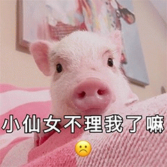 示例图片